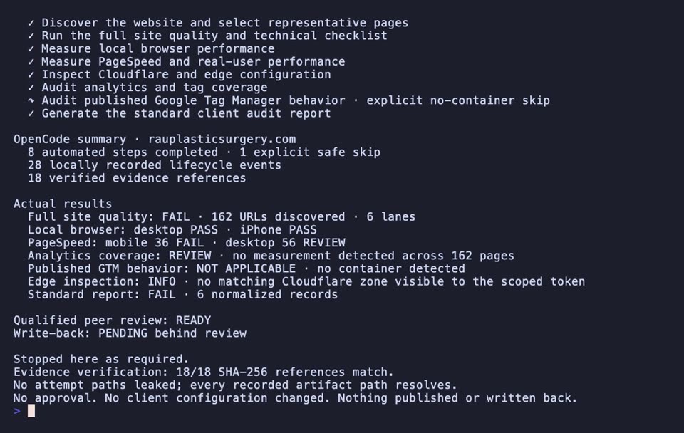 OpenCode running the full client website audit for rauplasticsurgery.com